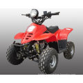 110CC ATV-2